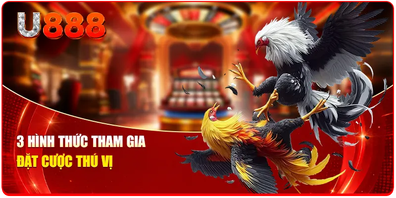 Đá Gà 88 - Top 1 Đấu Trường Kịch Tính Với 500+ Trận Mỗi Ngày 3 3 hình thức tham gia đặt cược thú vị