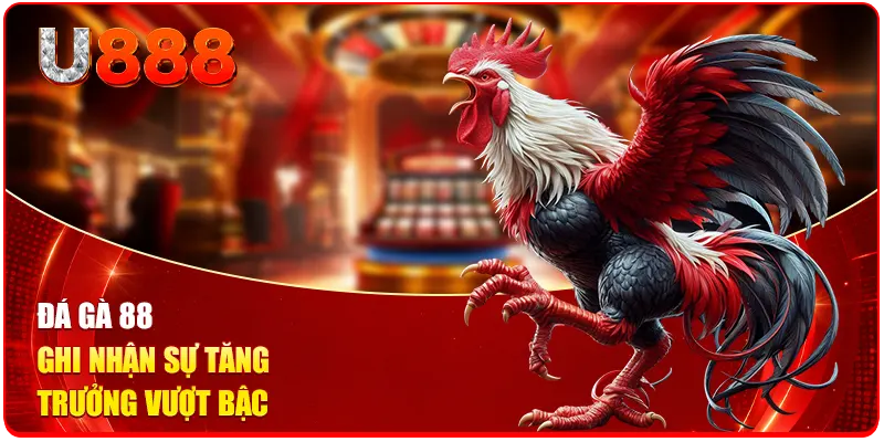 Đá Gà 88 - Top 1 Đấu Trường Kịch Tính Với 500+ Trận Mỗi Ngày 1 Đá gà 88 ghi nhận sự tăng trưởng vượt bậc