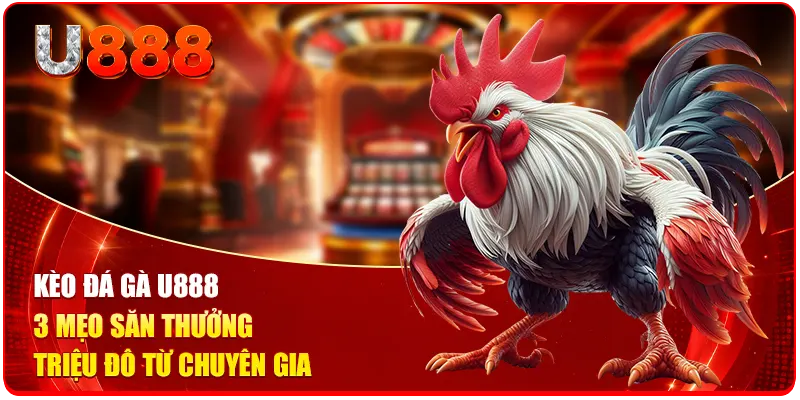 Kèo Đá Gà U888 - 3 Mẹo Săn Thưởng Triệu Đô Từ Chuyên Gia